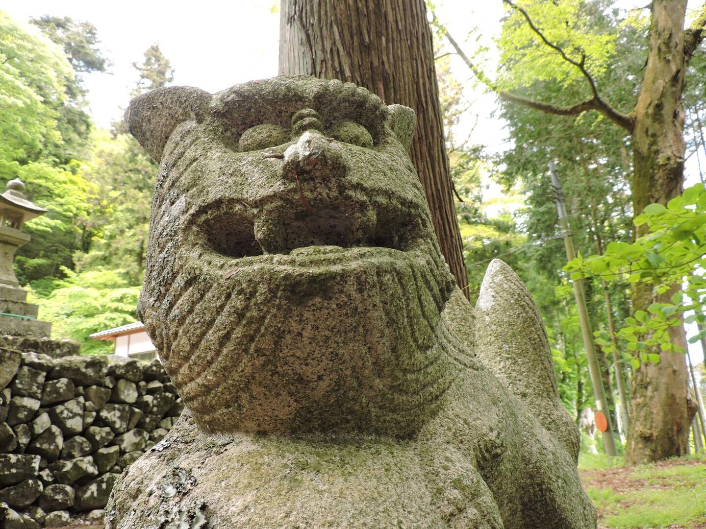 岡山県百名山！阿哲富士 おかわり登山 ε d(￣、￣A) ふぅ♪ / sensonkunさんの荒戸山の活動データ YAMAP / ヤマップ