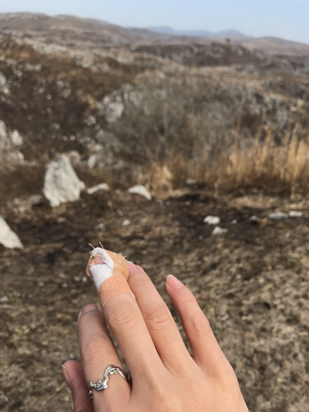 山焼き後の秋吉台ドライブ ﾟ ﾟ もんこさんの秋吉台カルストトレイルランonlineの活動日記 Yamap ヤマップ