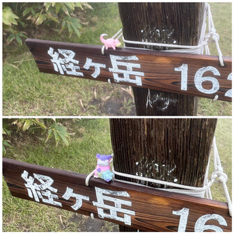 経ヶ岳・法恩寺山 おや・・・