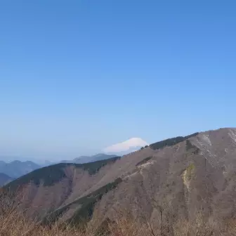富士山が見えました。