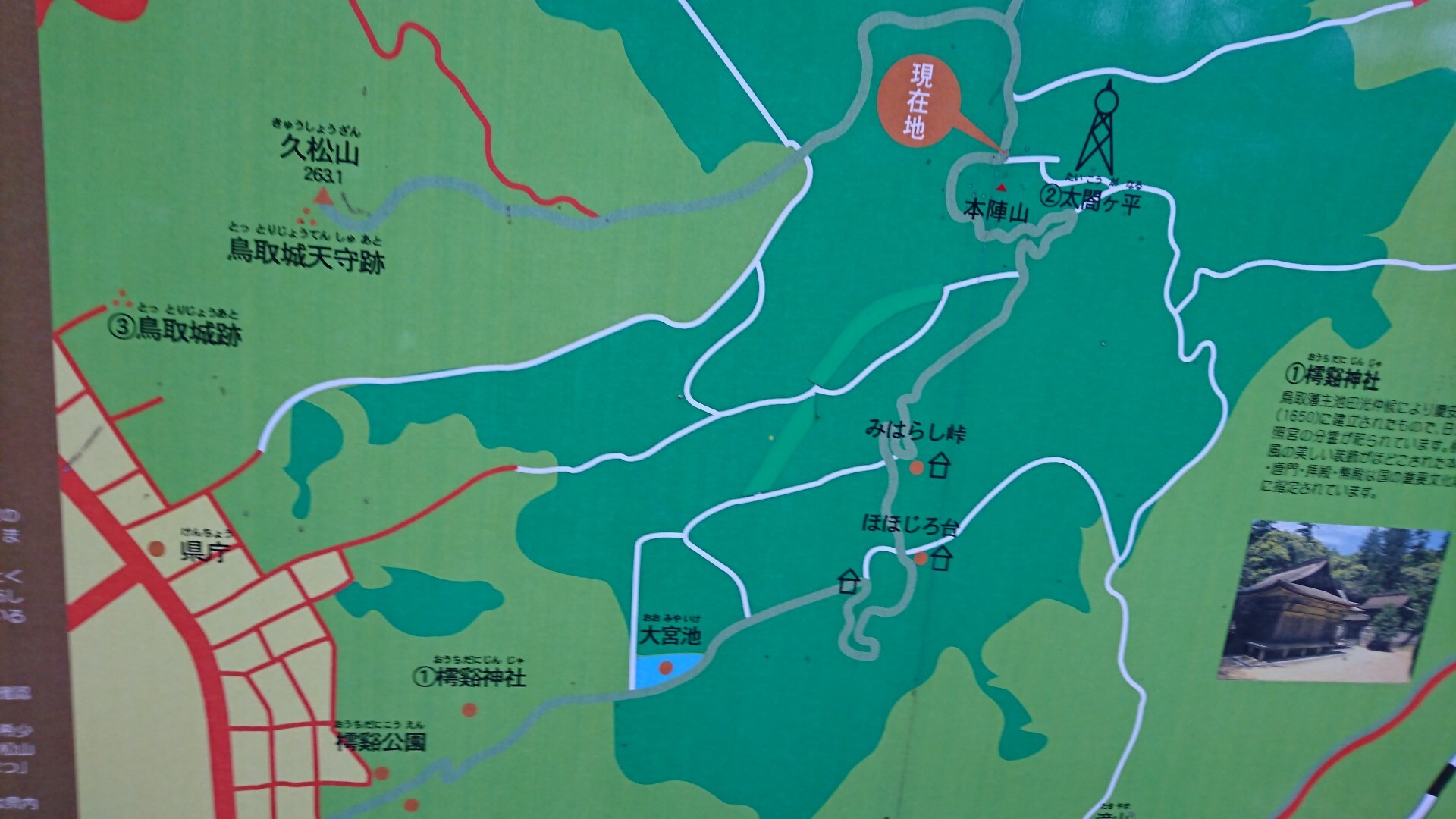 山装備なしで鳥取城跡 久松山 太閤ヶ原 樗谿神社 こだまさんの久松山 本陣山 摩尼山の活動日記 Yamap ヤマップ