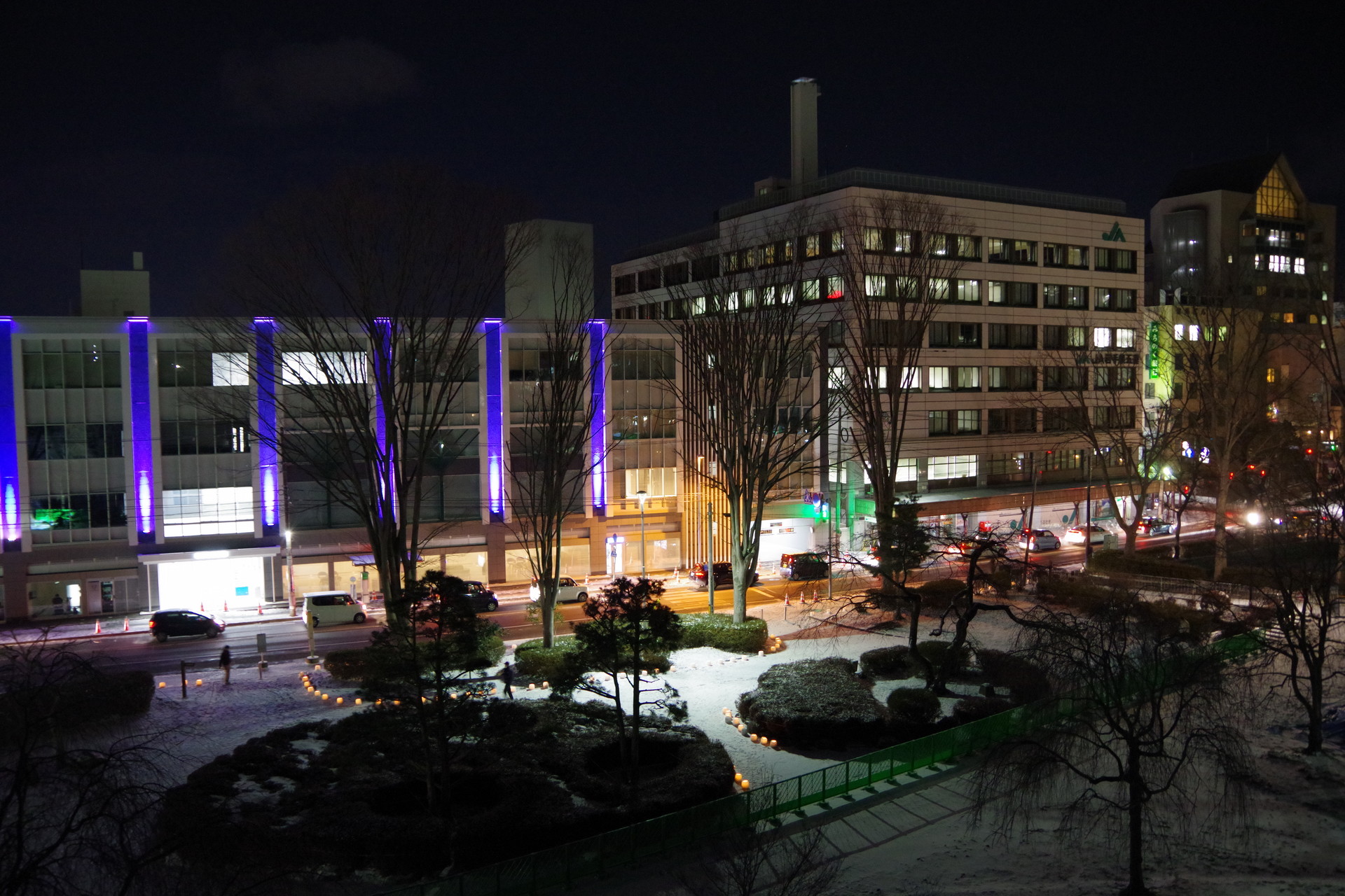 もりおか雪あかり２０１９ 岩手県盛岡市 ｊｕｎさんの盛岡市の活動データ Yamap ヤマップ