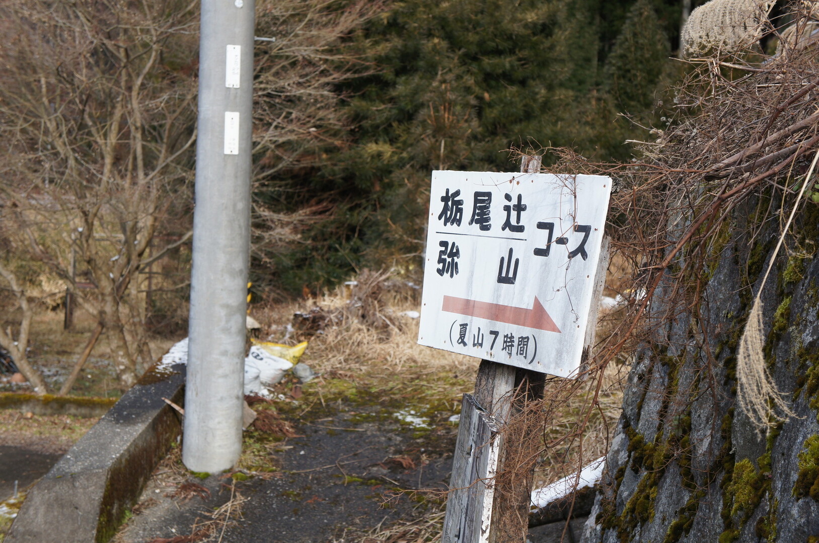 山の会で天女の舞へ Hideさんの八経ヶ岳の活動日記 Yamap ヤマップ