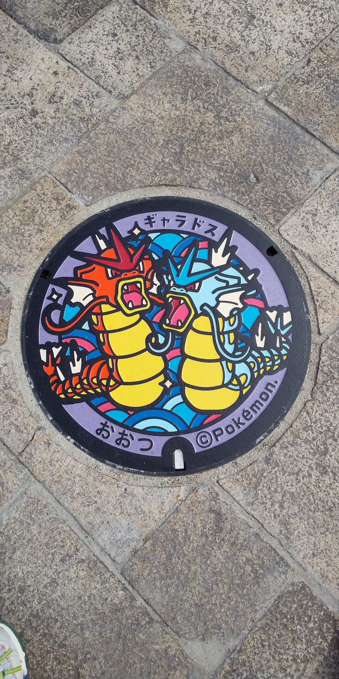 ポケモンマンホールを探して シンさんさんの音羽山 醍醐山の活動日記 Yamap ヤマップ