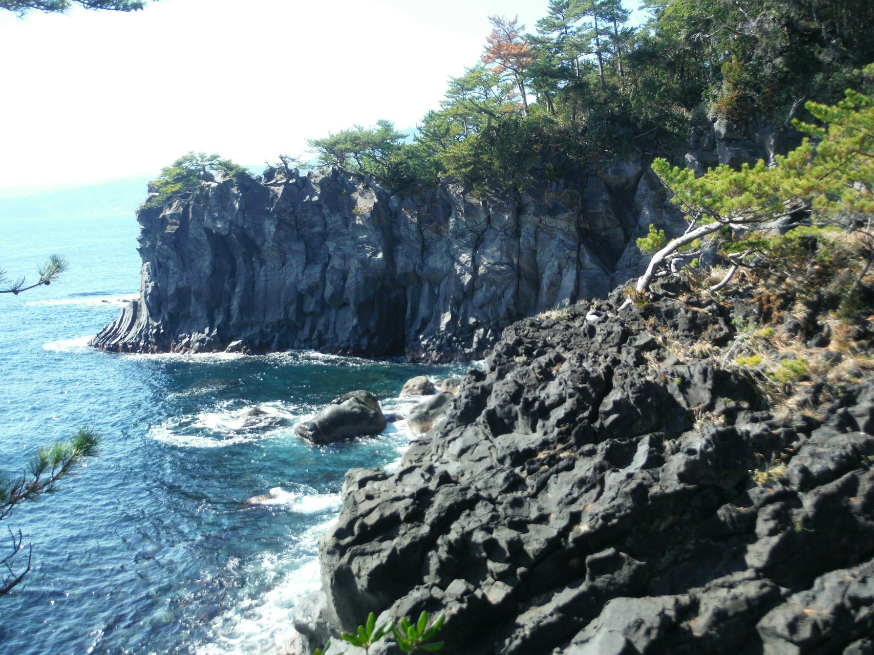 疲れて短縮してしまったが ﾋﾟｰｸがないのに大変だったw エンシュージンｒさんの城ヶ崎海岸自然研究路コースの活動日記 Yamap ヤマップ