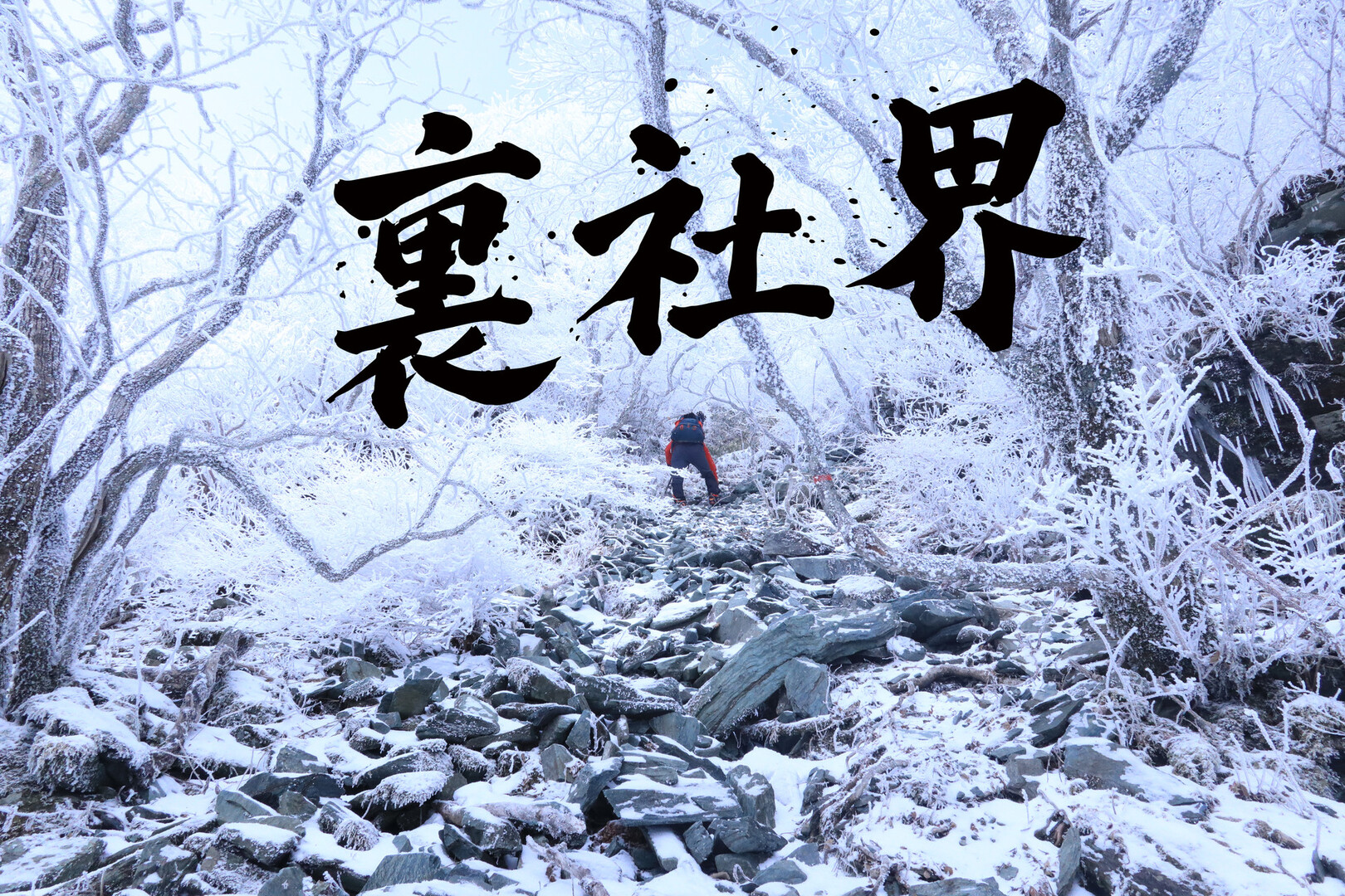 九死に一生スペシャル ウラ寒風山 ソーヤさんの笹ヶ峰 寒風山 平家平の活動データ Yamap ヤマップ