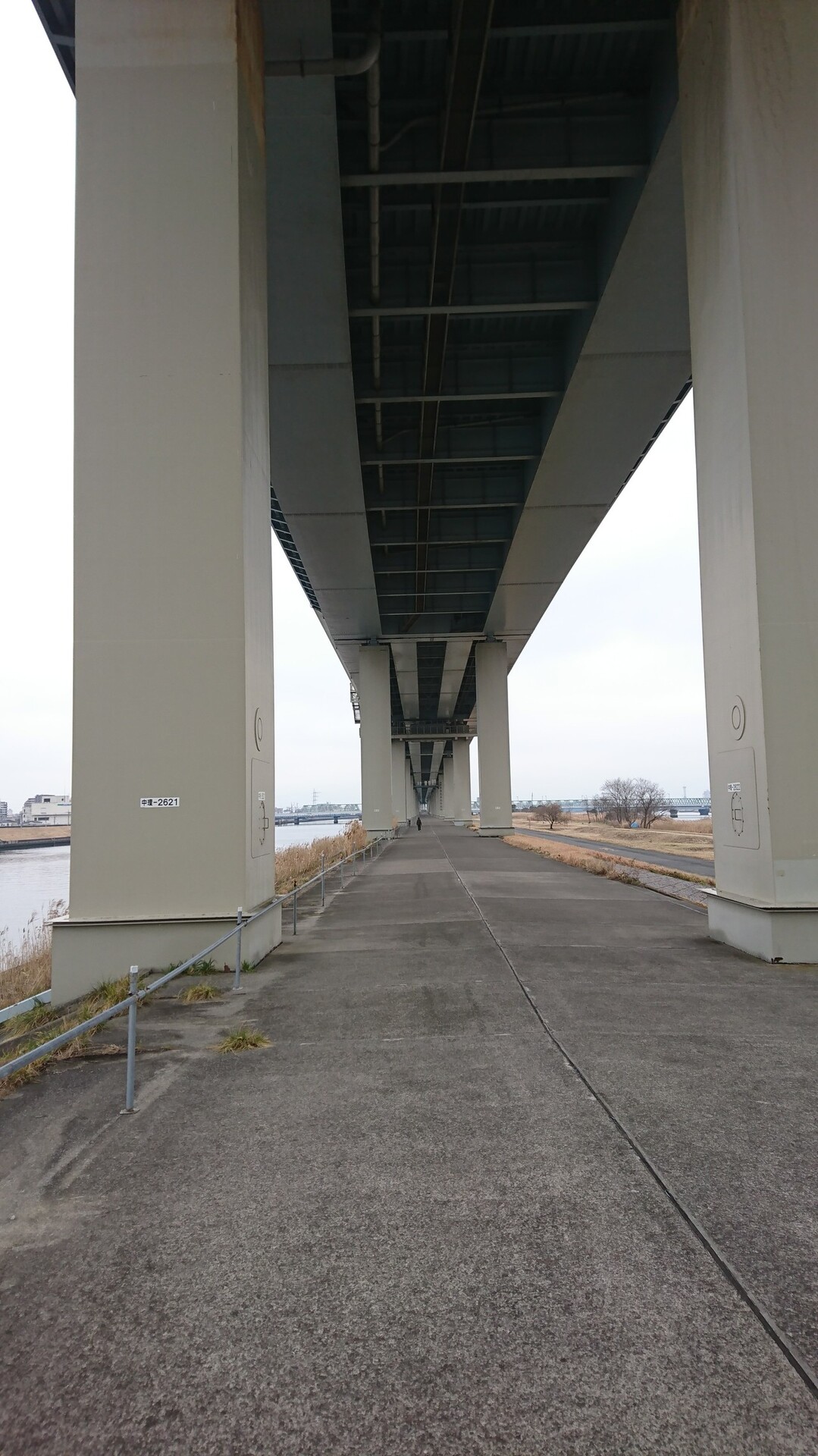 都内ウォーク 荒川 埼玉県境 河口 アダチのデリカさんの東京都23区 北エリアの活動日記 Yamap ヤマップ