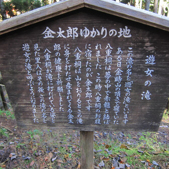 金太郎のストーリーいまいちわかってないが遊女のゆかりもっとわからん