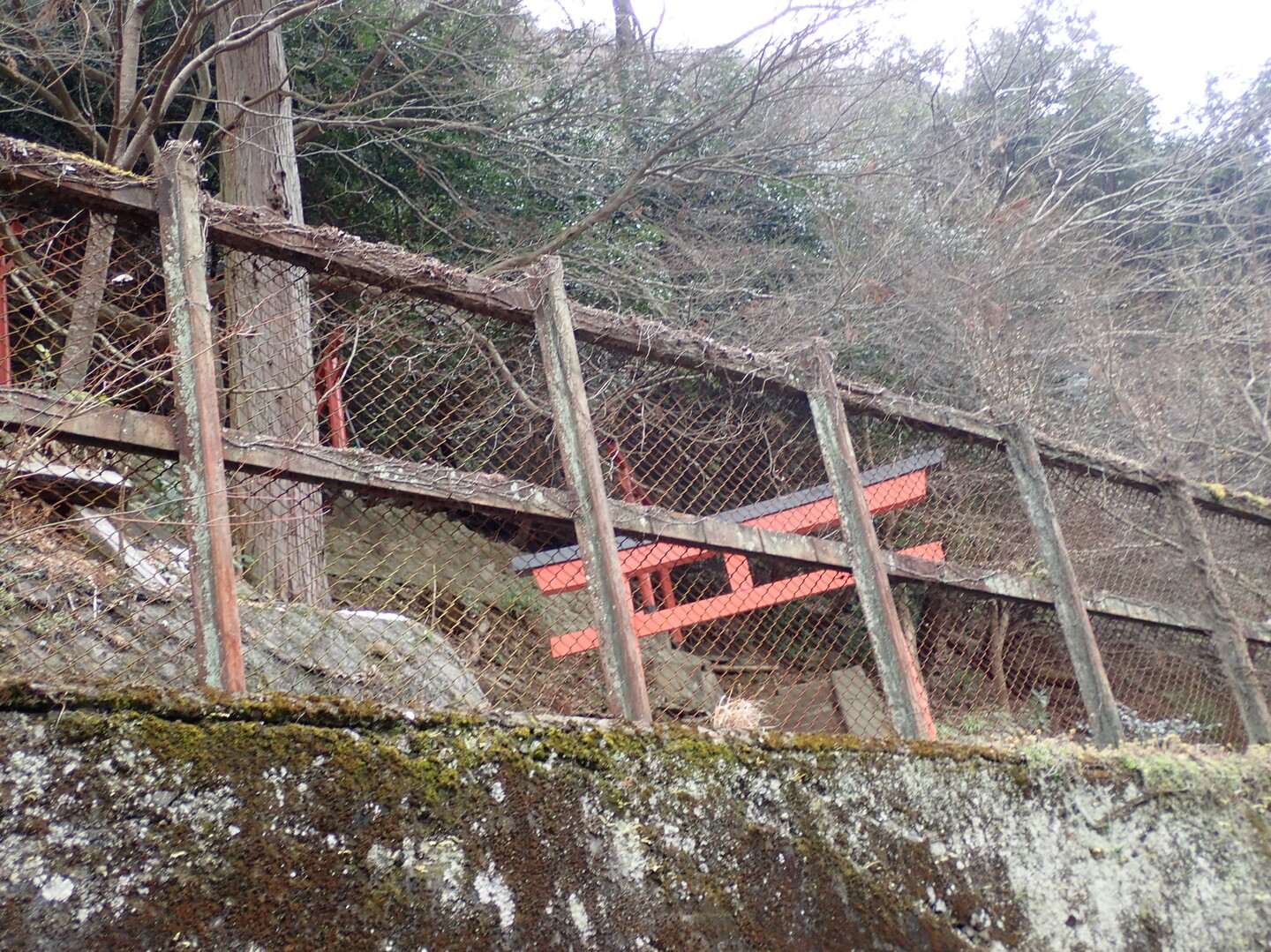嵯峨観光鉄道トロッコ線路ウォークツアーと京都一周トレイル西山コース Jr保津峡駅 トロッコ嵐山駅 松尾山 上桂駅 京都一周トレイルの写真18枚目 上に見える大山神社は大正１３年に旧国鉄山 Yamap ヤマップ
