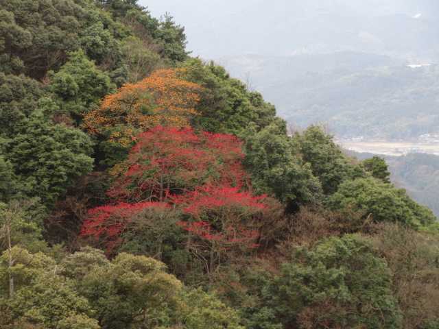 葛城山 福岡県 から岩石山へ鷲越から弓張岳へ 洋さんの岩石山 岩石城 の活動データ Yamap ヤマップ