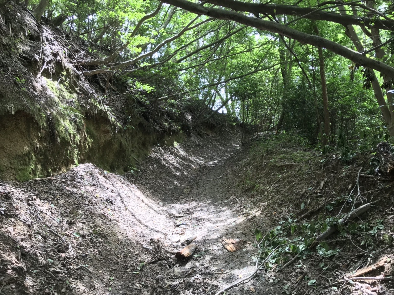 生駒山・神津嶽・大原山 ようやく本来の古道の雰囲気を感じられるところに。