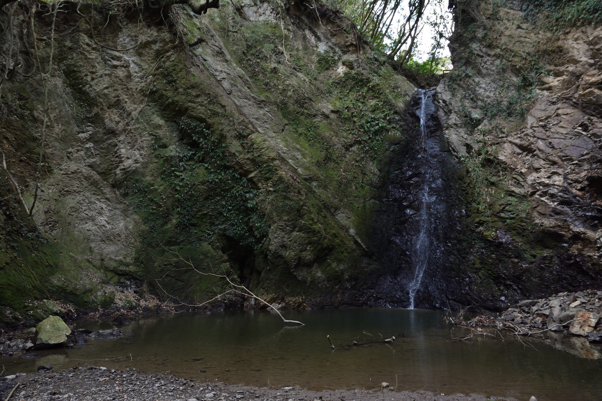 花嫁の峠を目指せ 烏場山 スパロゥさんの烏場山 花嫁街道 高鶴山の活動データ Yamap ヤマップ