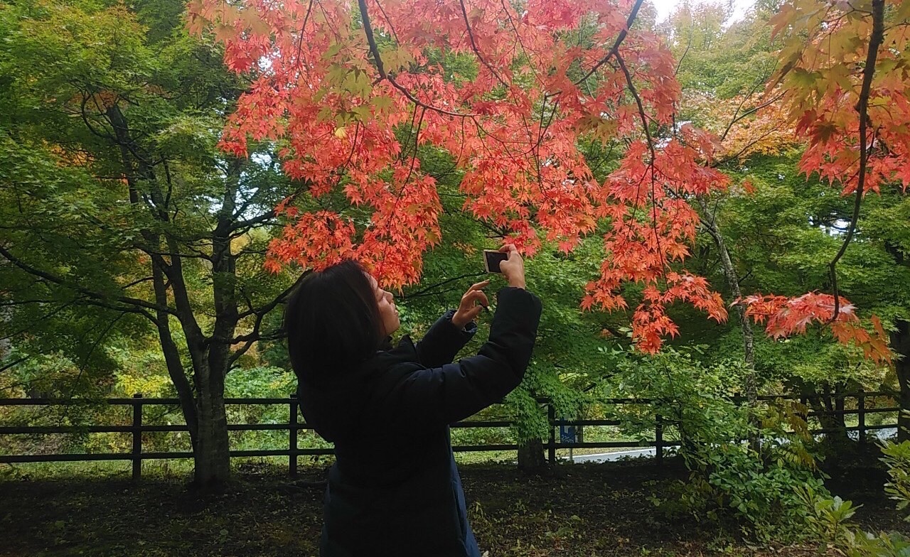もみじ園 不習岳 Komi 0412さんの八戸市の活動データ Yamap ヤマップ