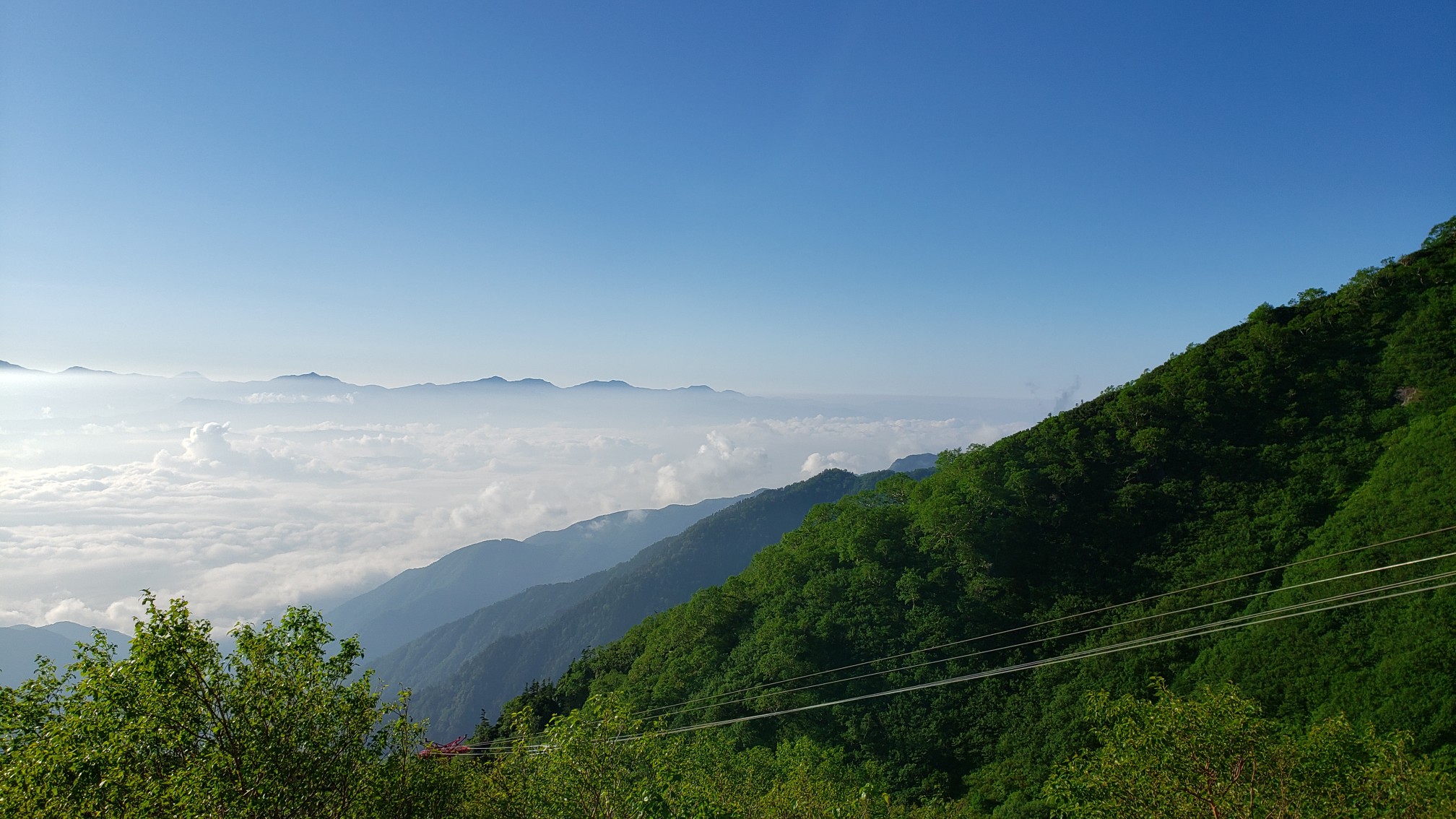 中岳 木曽駒ヶ岳 宝剣岳で雷鳥 ホシガラス イワヒバリ メボソムシクイにめっちゃ遭遇 ビビさんの木曽駒ヶ岳 空木岳 越百山の活動日記 Yamap ヤマップ