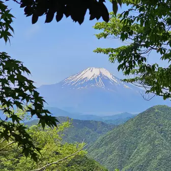 展望園地（の階段登った少し上から）で富士山