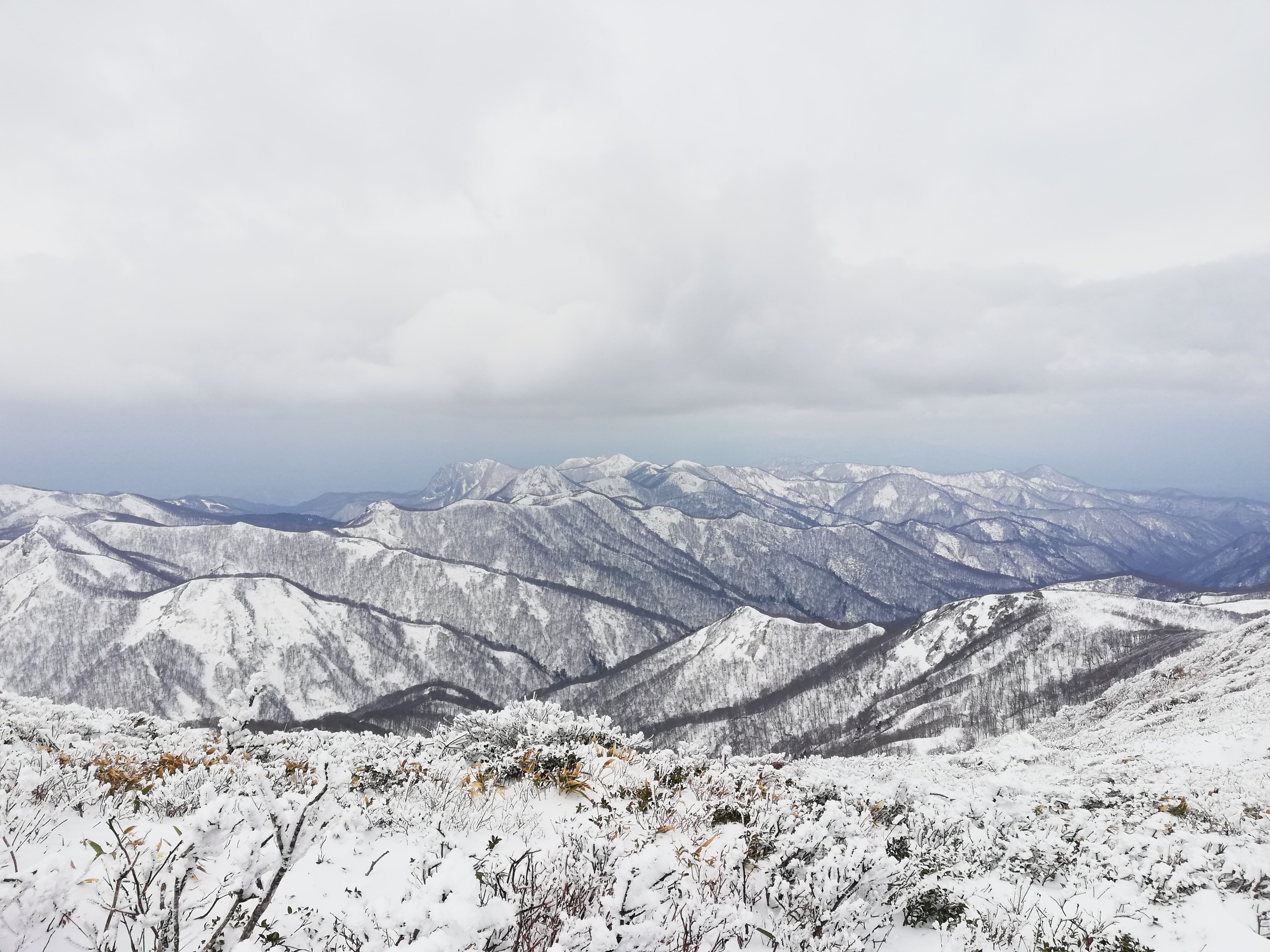 良い眺めでした