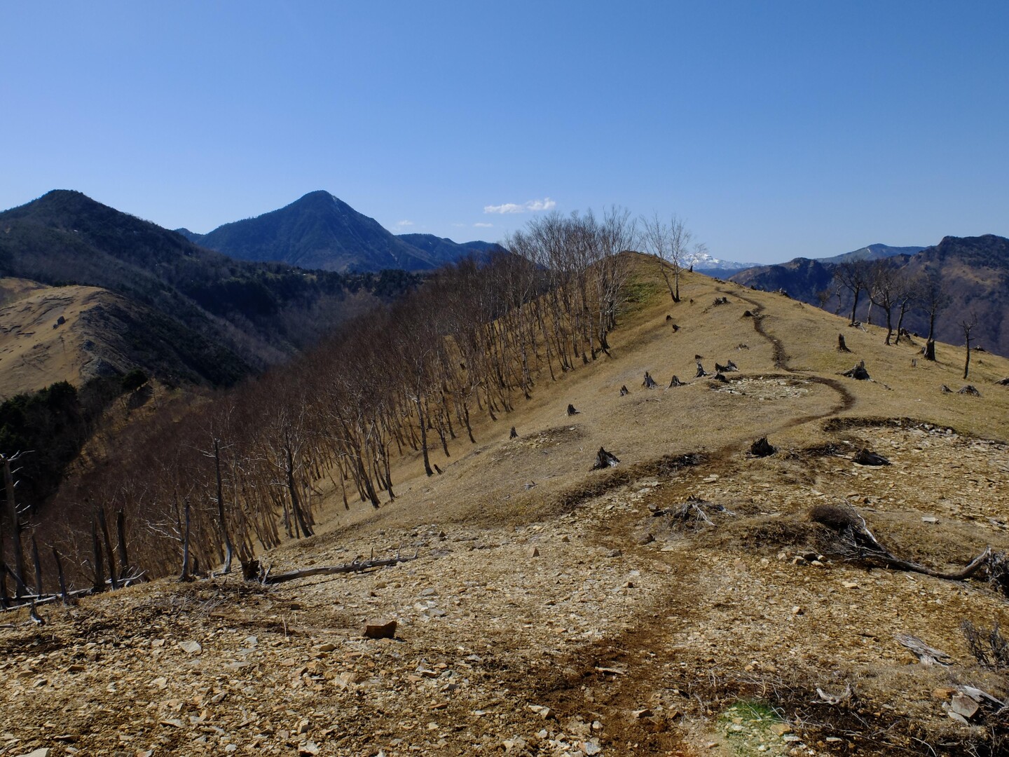 【106登目】中倉山・沢入山・オロ山 ～暮れ方の風と共に 伸びる影追いかけて～ / kei55wakaさんの皇海山・袈裟丸山・庚申山の活動 ...
