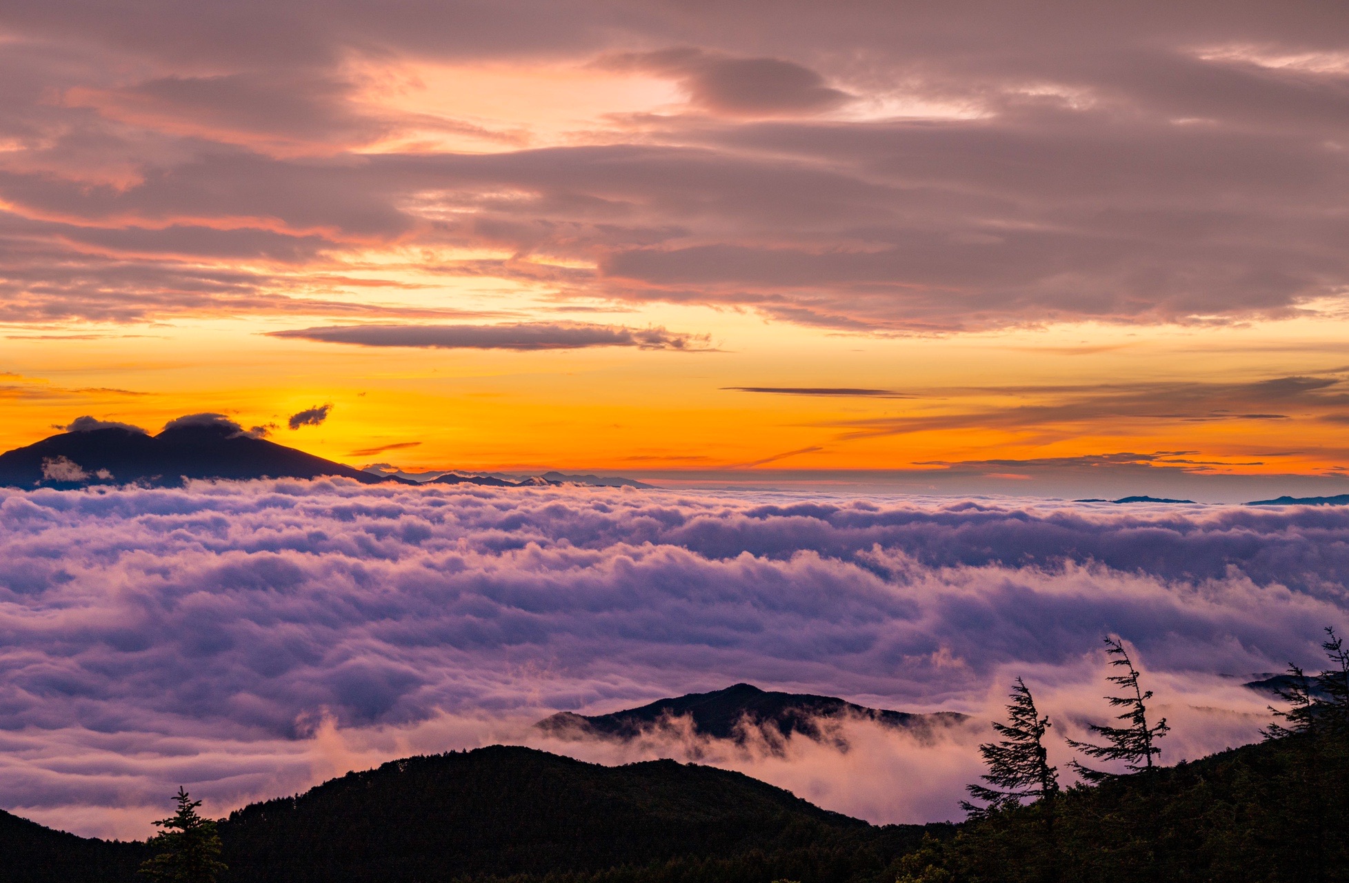 雨の美ヶ原トレッキング くまくんさんの美ヶ原の活動日記 Yamap ヤマップ