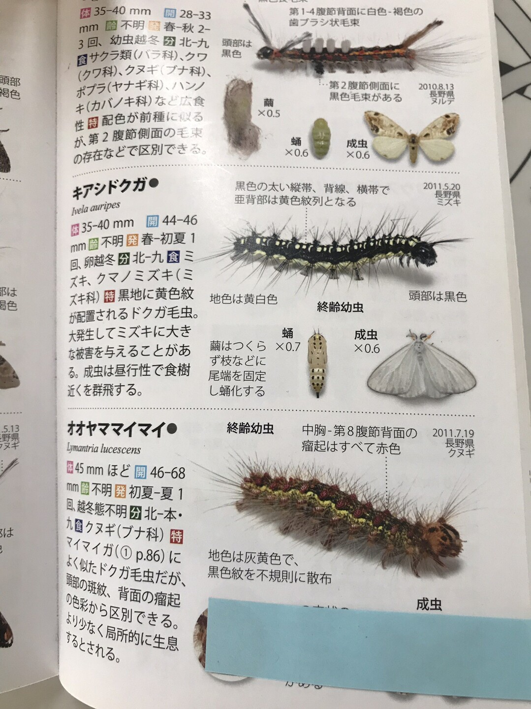 高尾山 陣馬山 景信山 19 05 18 ぽちさんの高尾山 陣馬山 景信山の活動日記 Yamap ヤマップ
