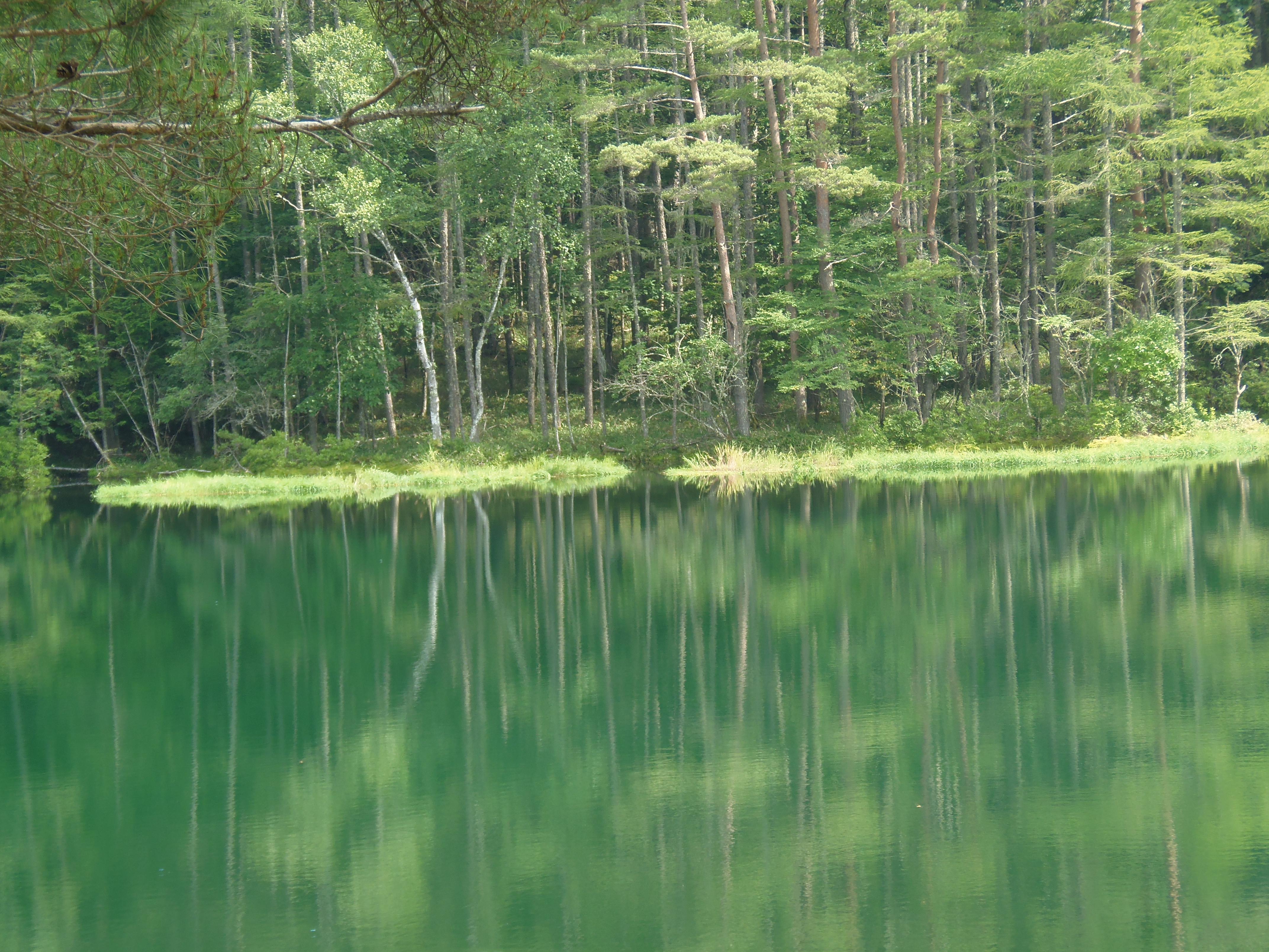 おまけ 御射鹿池 みしゃかいけ 桃山梅吉さんの観光の活動データ Yamap ヤマップ