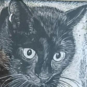 くろねこ