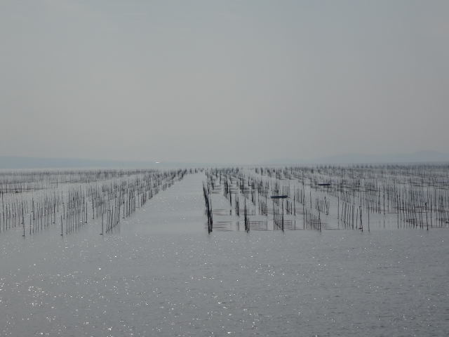 有明海初島カヤックツーリング 縄文とうちゃんさんの三池山 大間山の活動日記 Yamap ヤマップ