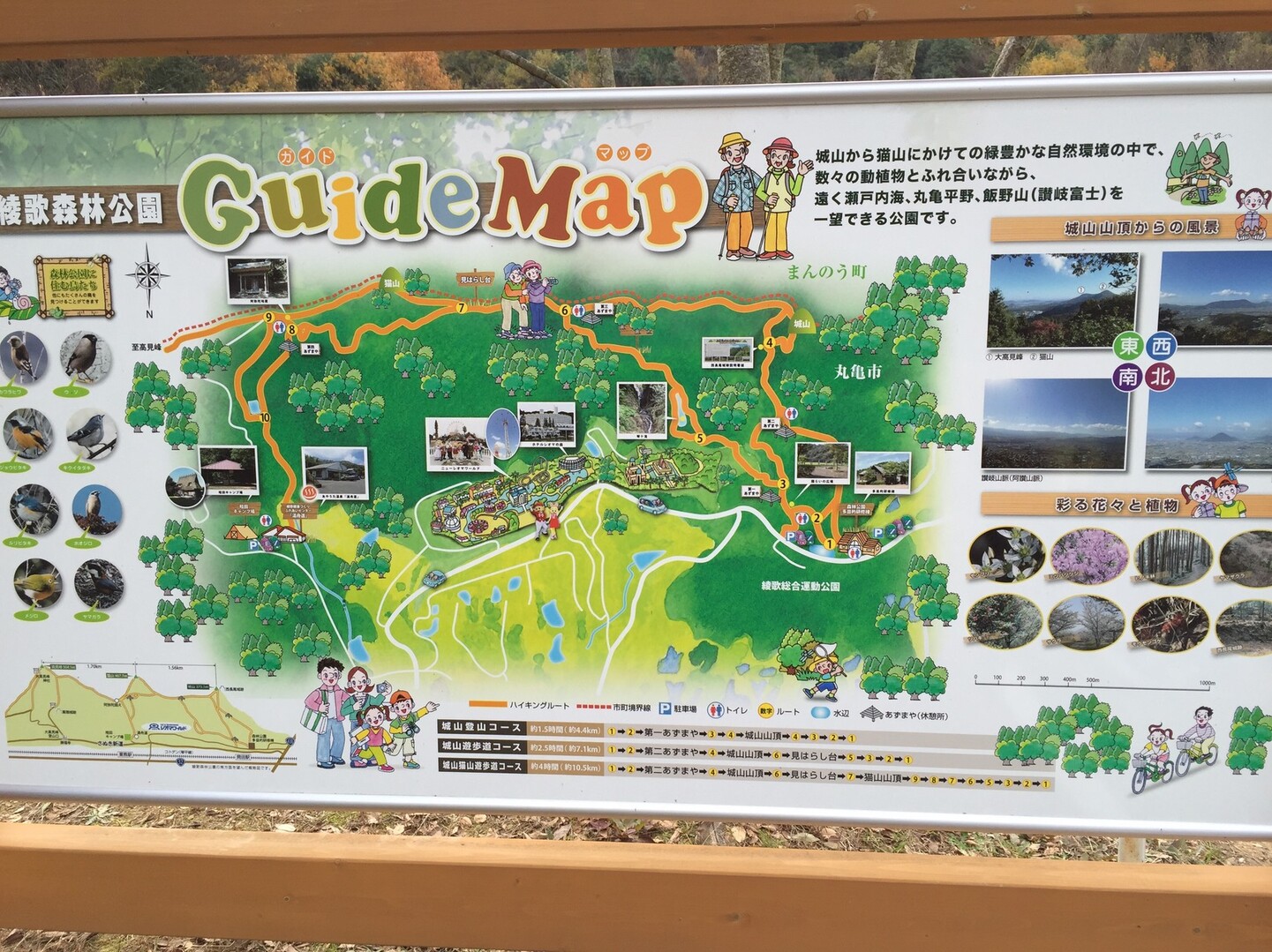 綾歌森林公園 城山 猫山 たけぽんさんの四国遍路そのの活動データ Yamap ヤマップ