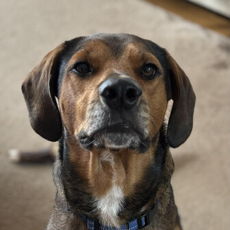 ガブリエル祐子