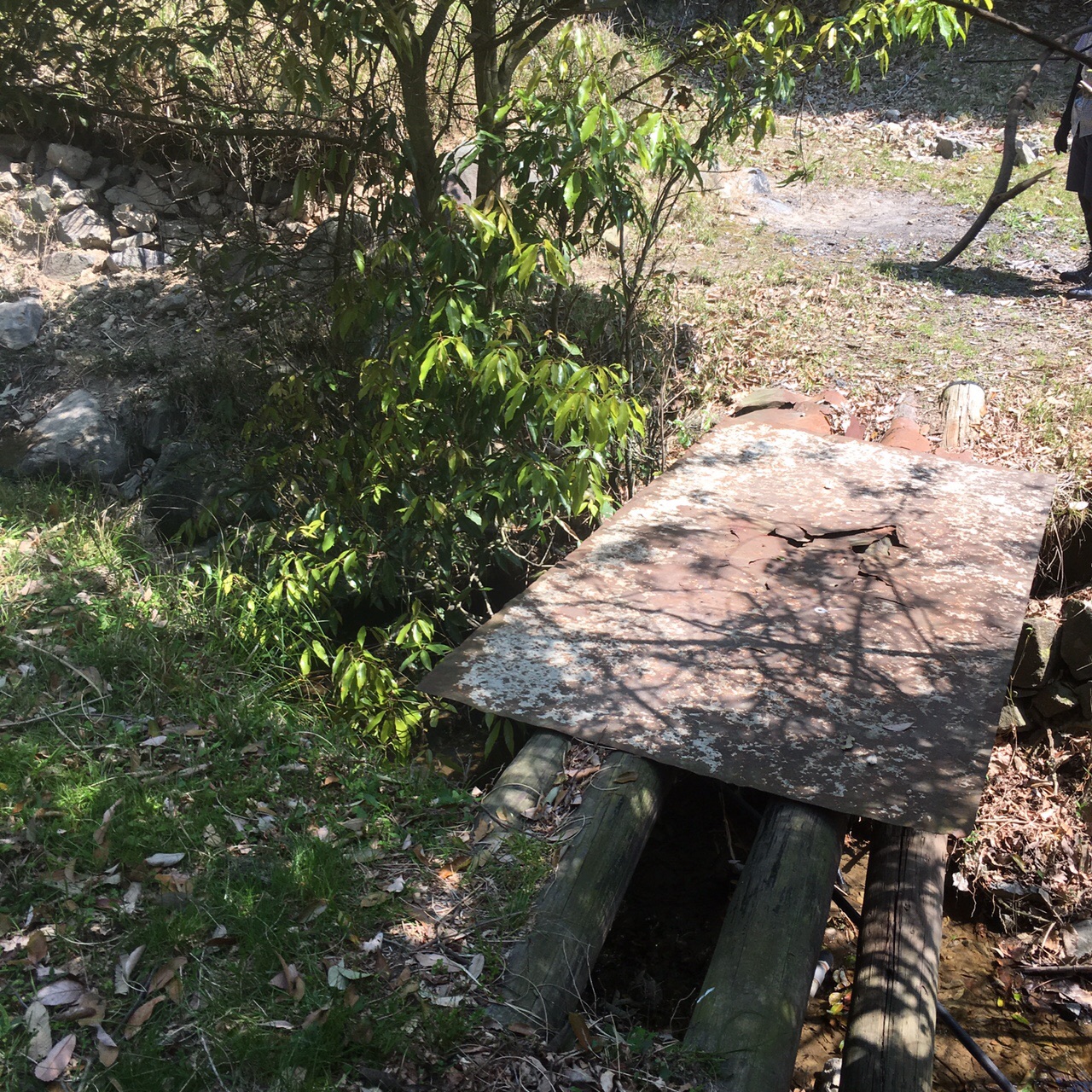 朝日山 広島県竹原市 04 29 しゃんしゃんさんの朝日山 鷹ノ巣山 広島県竹原市 の活動データ Yamap ヤマップ