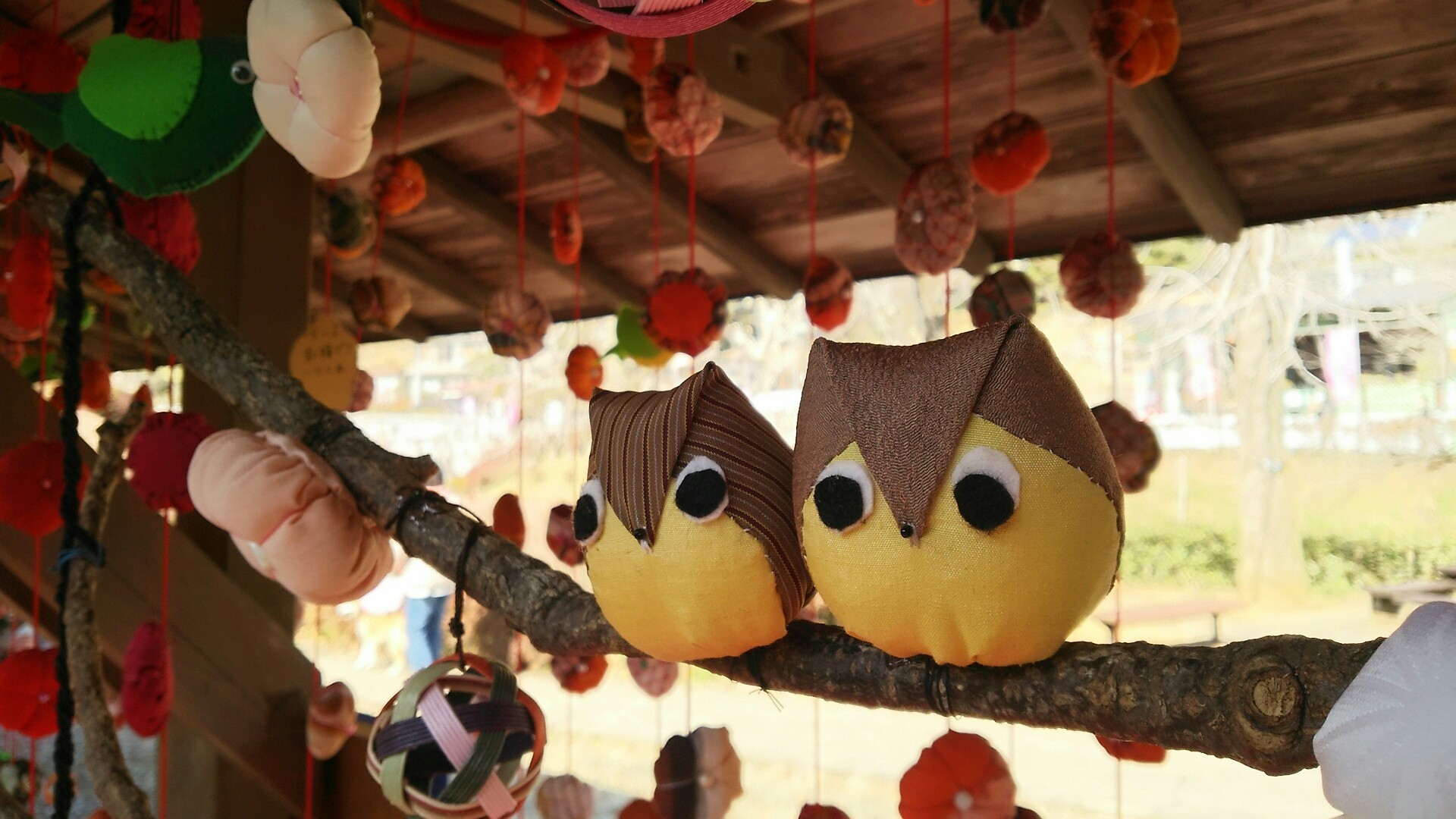 19吉野梅郷梅祭り さくらさんの青梅市の活動データ Yamap ヤマップ