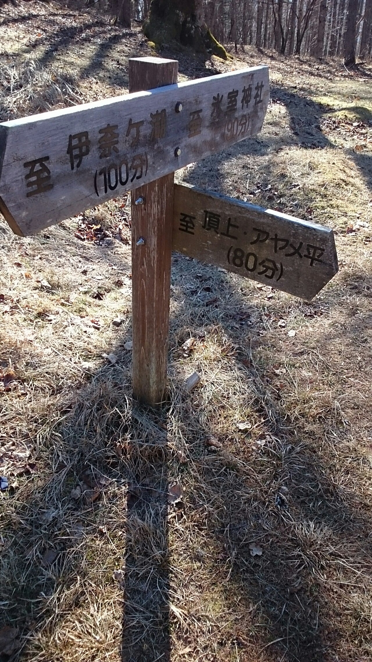 櫛形山 裸山 アヤメ平の周遊 Romarocoさんの櫛形山 裸山 唐松岳の活動データ Yamap ヤマップ