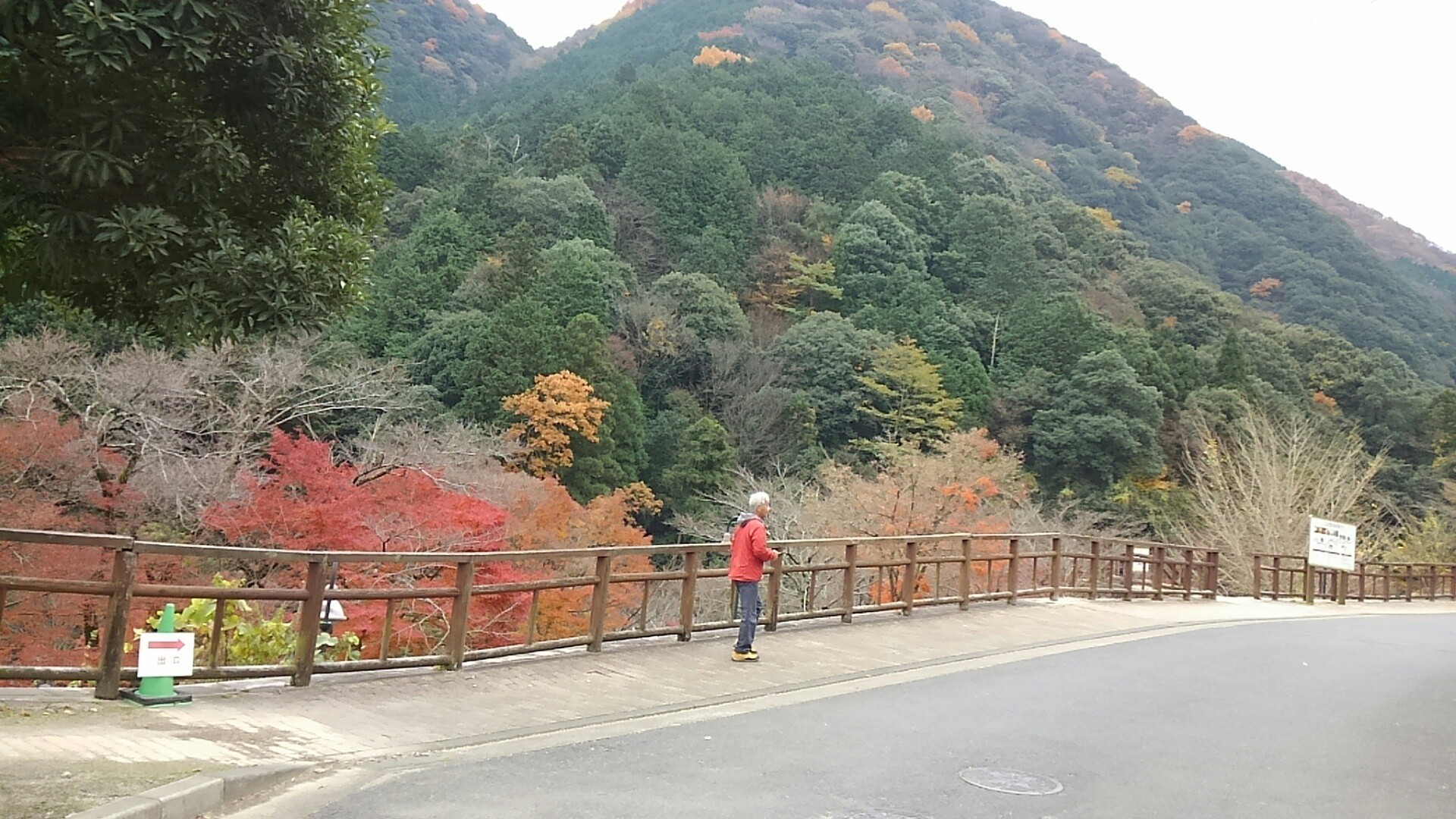 牛滝の紅葉と滝めぐりと久米田寺へ はなふじいさんの槇尾山 槙尾山 和泉葛城山 神於山の活動日記 Yamap ヤマップ