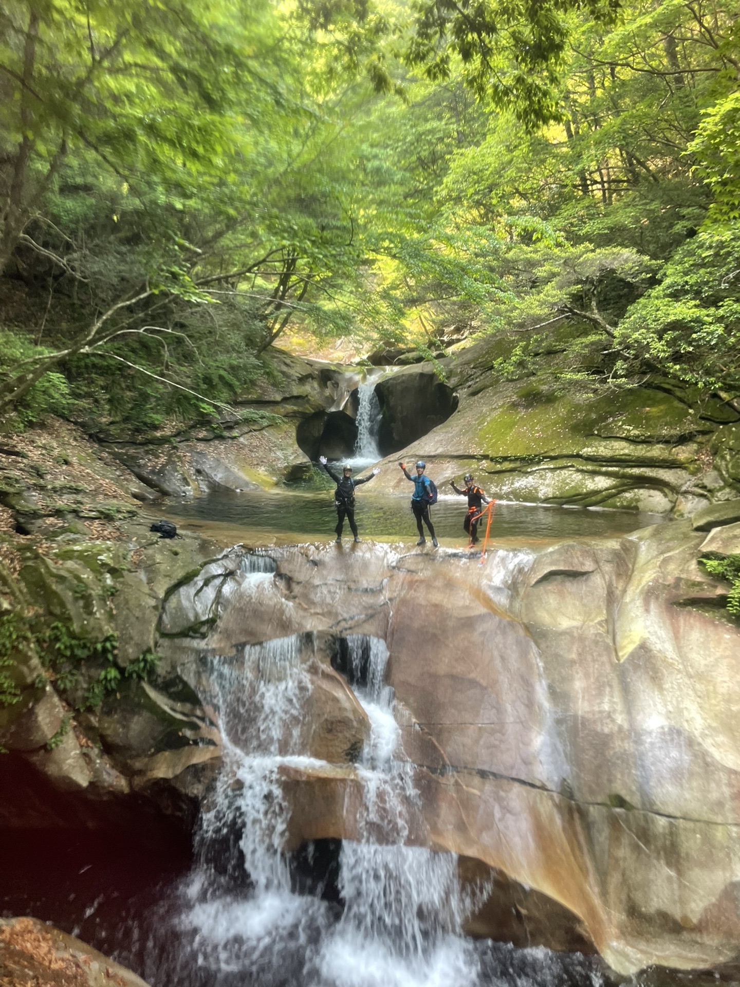 藤河内渓谷沢登り 22 05 24 さとさとさんの大崩山 五葉岳 新百姓山の活動データ Yamap ヤマップ