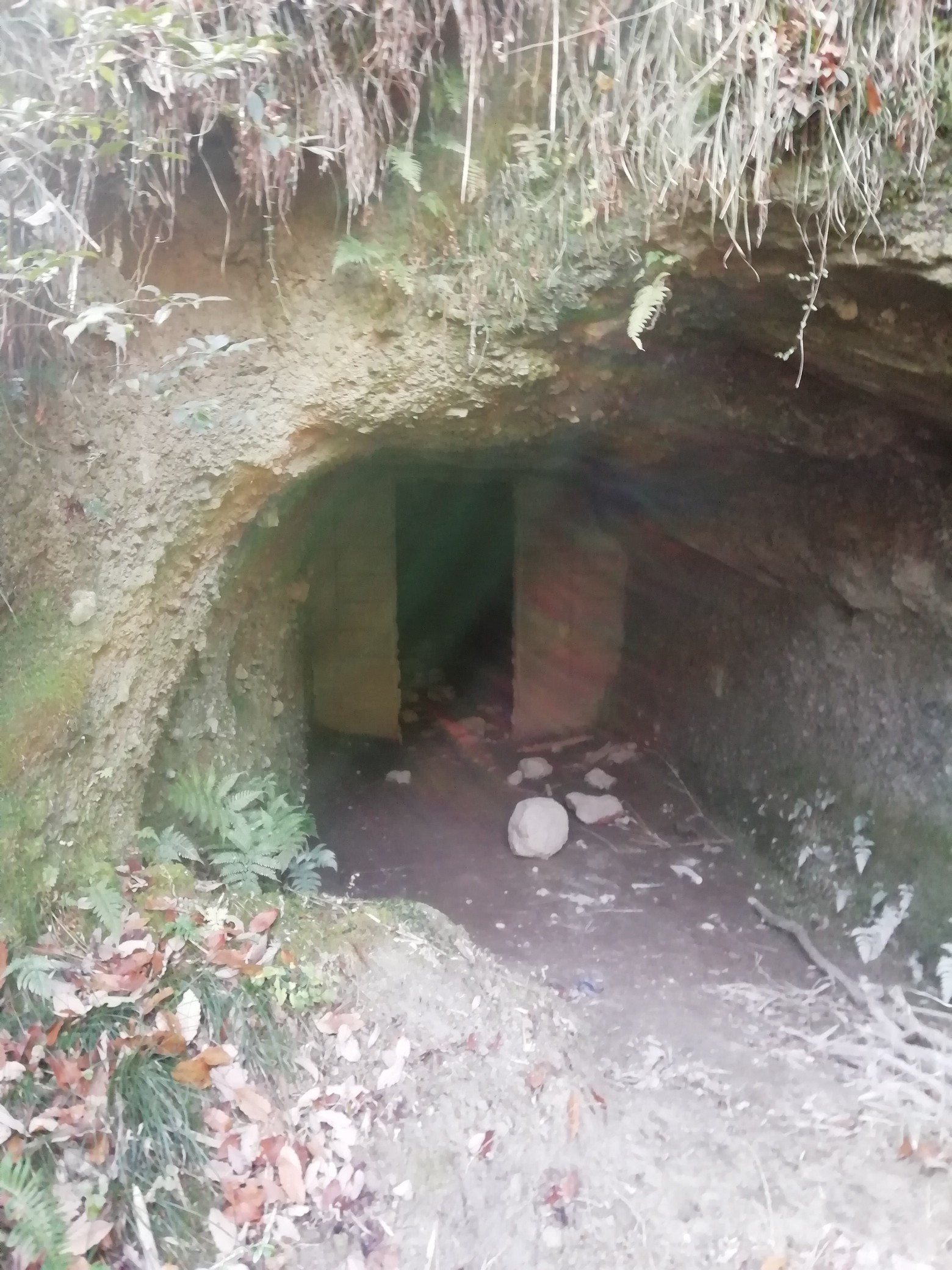 明神山から 屯鶴峰防空壕跡探検 ぐっちさんの明神山 奈良県王寺町 の活動データ Yamap ヤマップ