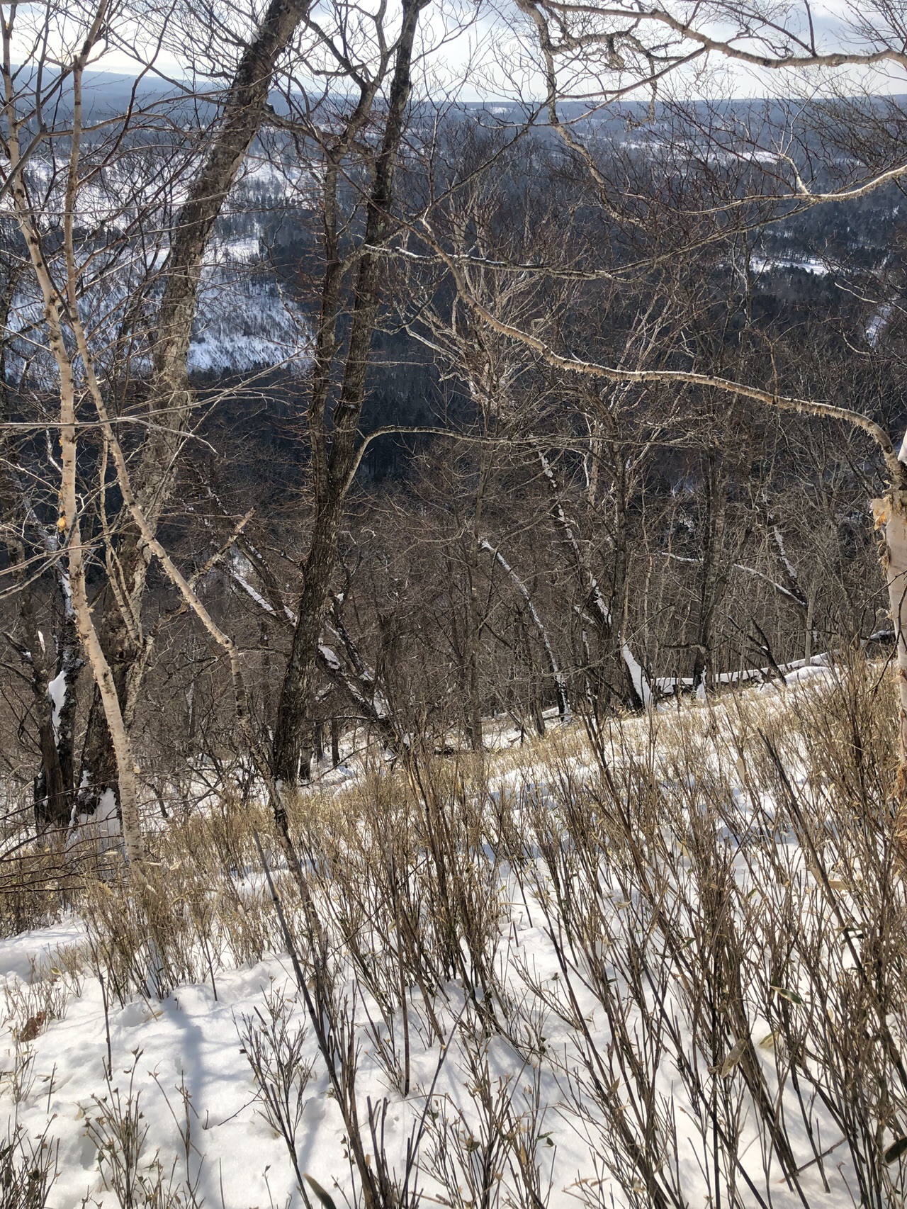 モラップ山 Win Win てふてふさんの紋別岳 千歳市 の活動日記 Yamap ヤマップ