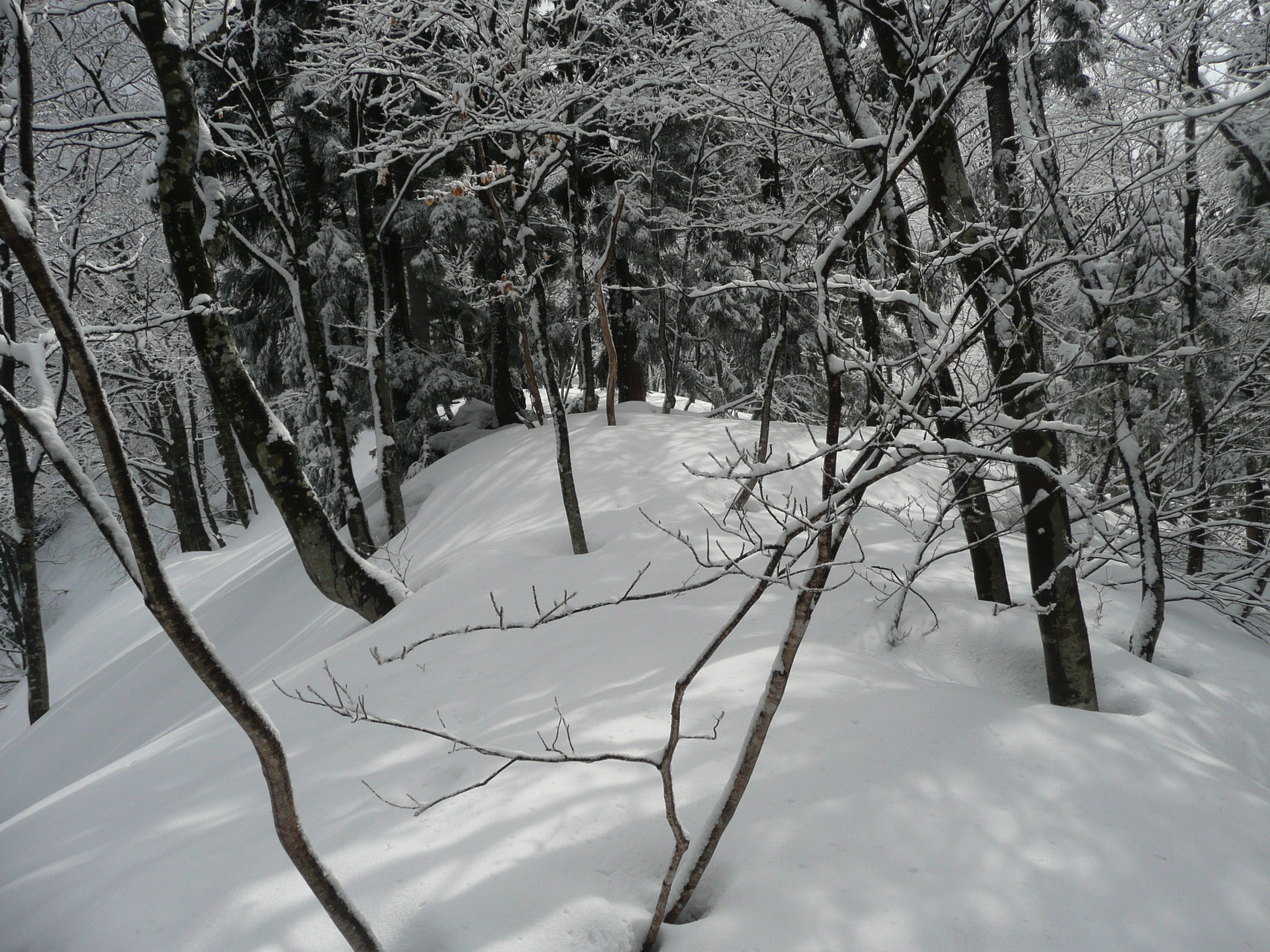 残雪の大辻山 立山の展望地 たかさんの大辻山 高峰山 来拝山の活動日記 Yamap ヤマップ