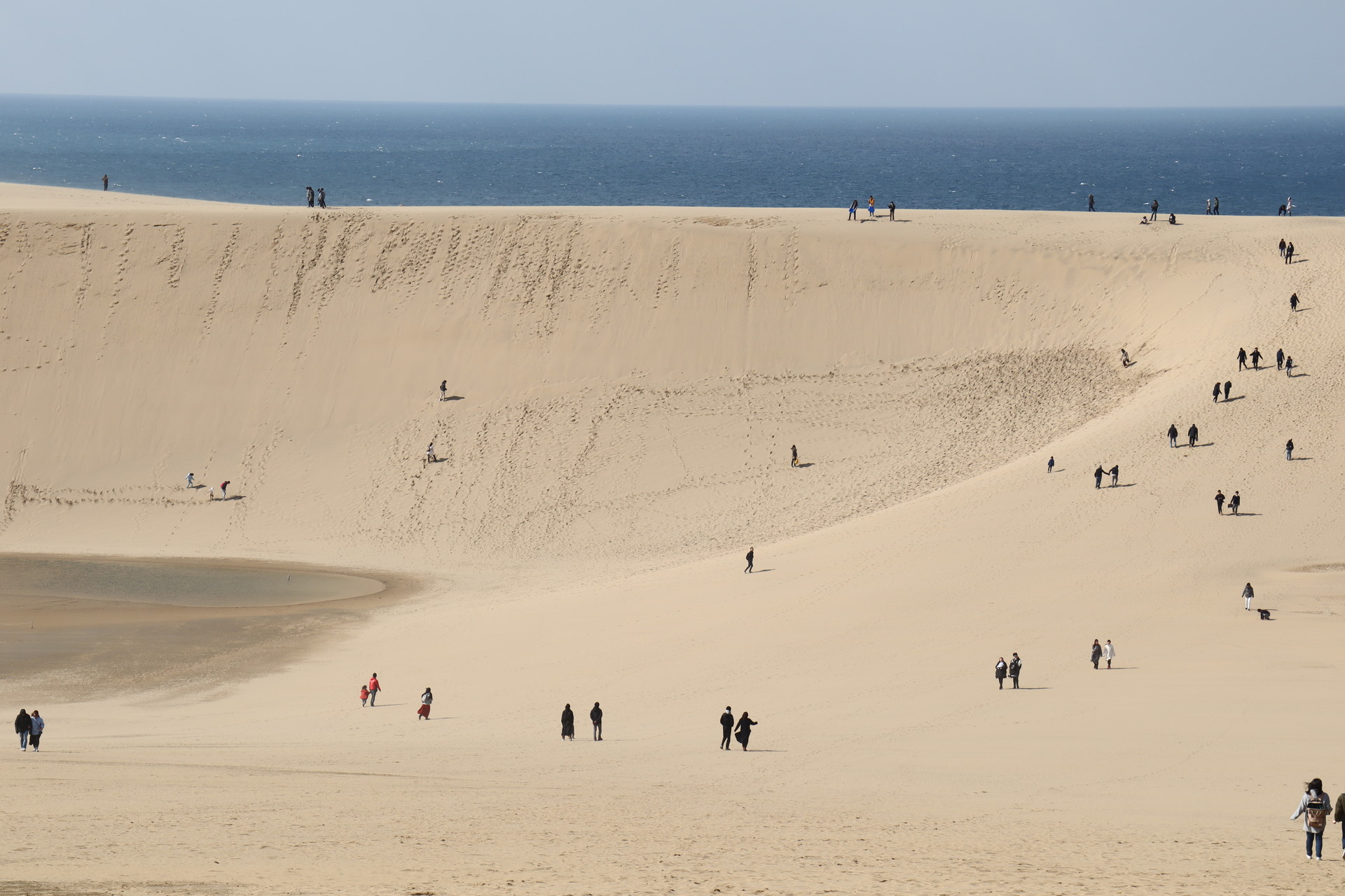 出雲大社 松江城 鳥取砂丘 天橋立 山陰観光 リンダさんの鳥取市の活動データ Yamap ヤマップ
