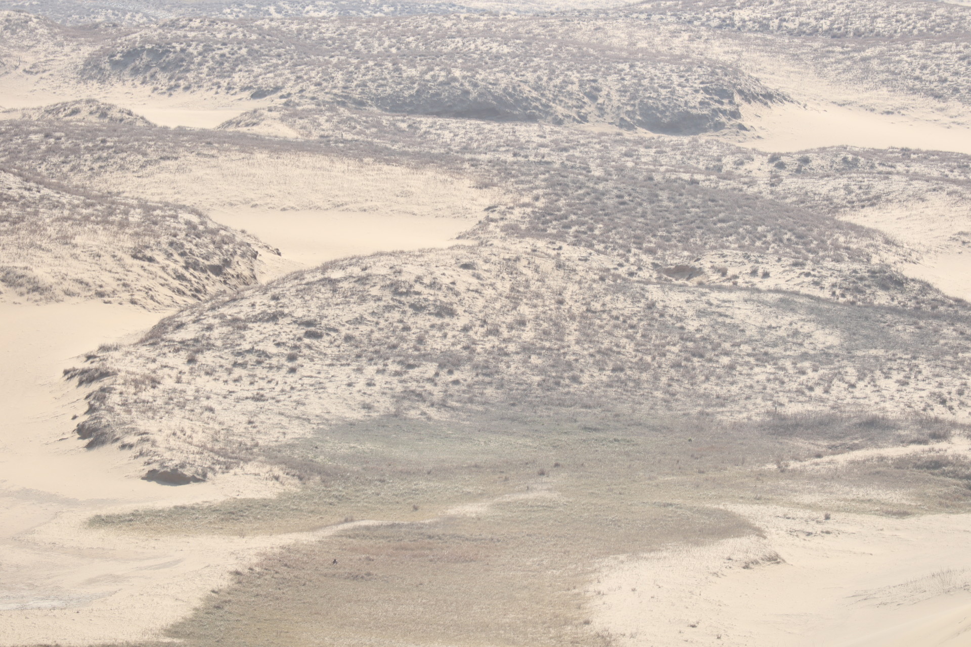 出雲大社 松江城 鳥取砂丘 天橋立 山陰観光 リンダさんの鳥取市の活動データ Yamap ヤマップ