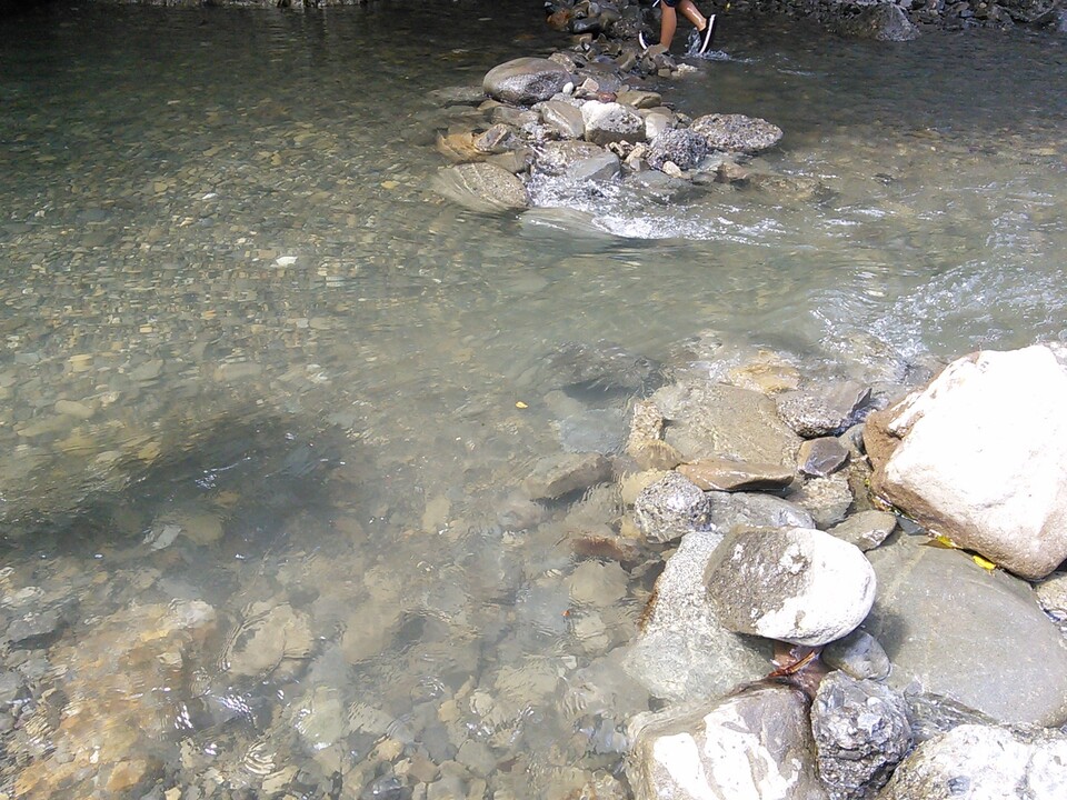 17 08 13 川遊び 滝畑ダム 千石谷林道 岩湧山 ダイトレ 滝畑ダムバーベーキュー場 岩湧山 一徳防山 三石山の写真21枚目 徒歩でも協力費0円でバーベキュー場に Yamap ヤマップ