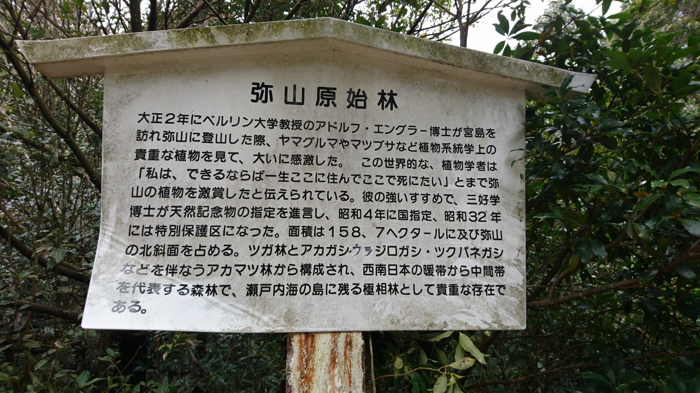 瀬戸内 最終章 宮島 厳島 と 弥山 みせん 駒ヶ林 富士さんの宮島 厳島 弥山の活動日記 Yamap ヤマップ