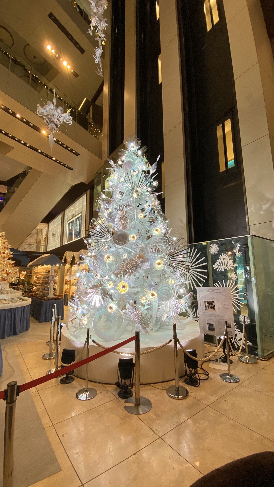 メイエキイルミ19 19 11 22 名古屋市の写真35枚目 ミッドランドスクエア クリスマスマーケッ Yamap ヤマップ