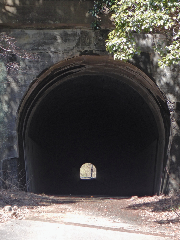 広沢寺温泉駐車場から鐘ヶ嶽 Gotribeさんの大山の活動日記 Yamap ヤマップ