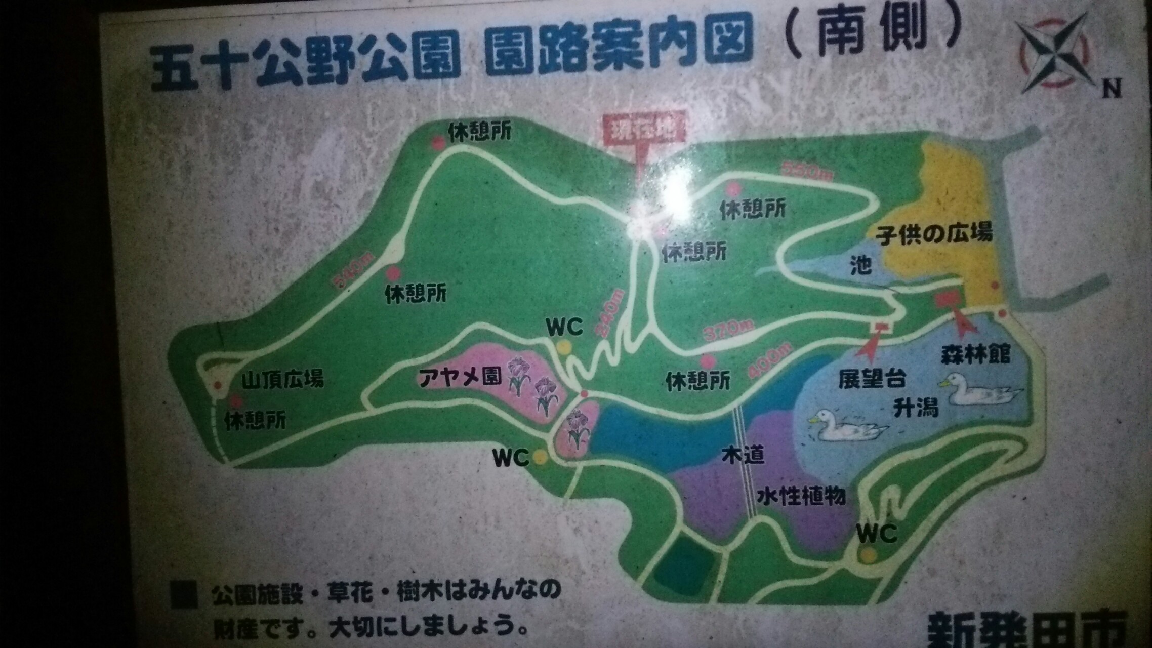 夜の五十公野山北側探訪 赤阪山 猫山 白山 焼山 金谷山 大沢山 鵜山 ぬのさんの五十公野山の活動データ Yamap ヤマップ