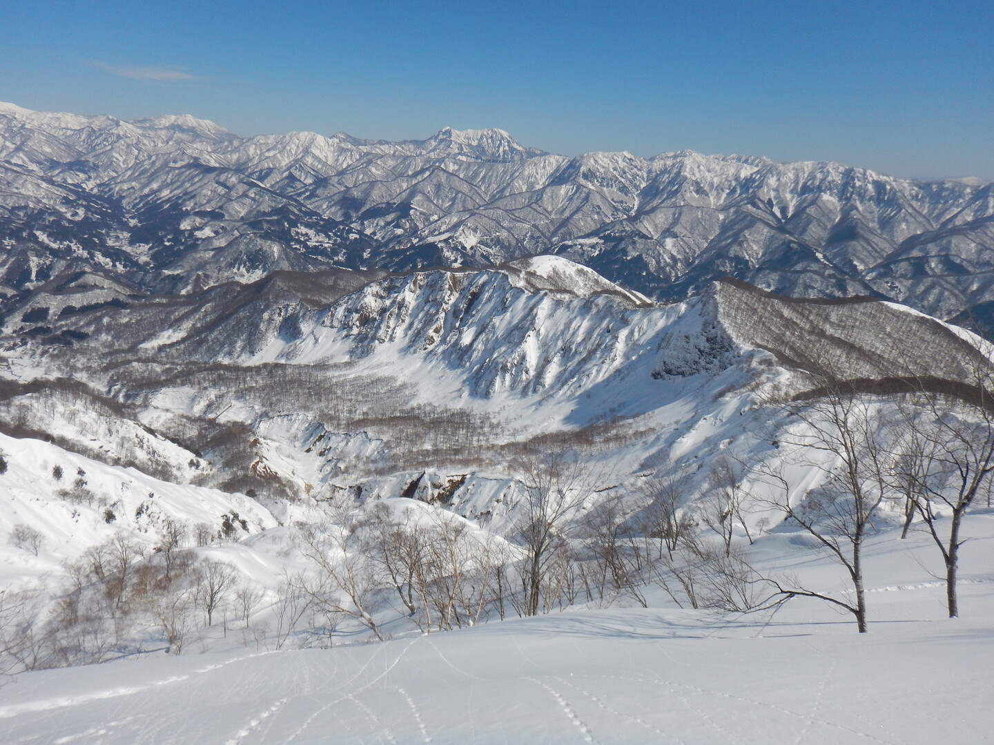 タコの山