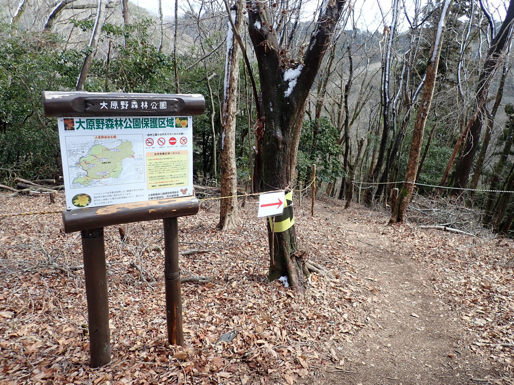 ポンポン山の福寿草に会いに 中畑回転場バス停 西尾根ルート ポンポン山 東海自然歩道 神峯山口バス停 みっちゃんさんのポンポン山 釈迦岳 小塩山 若山の活動日記 Yamap ヤマップ