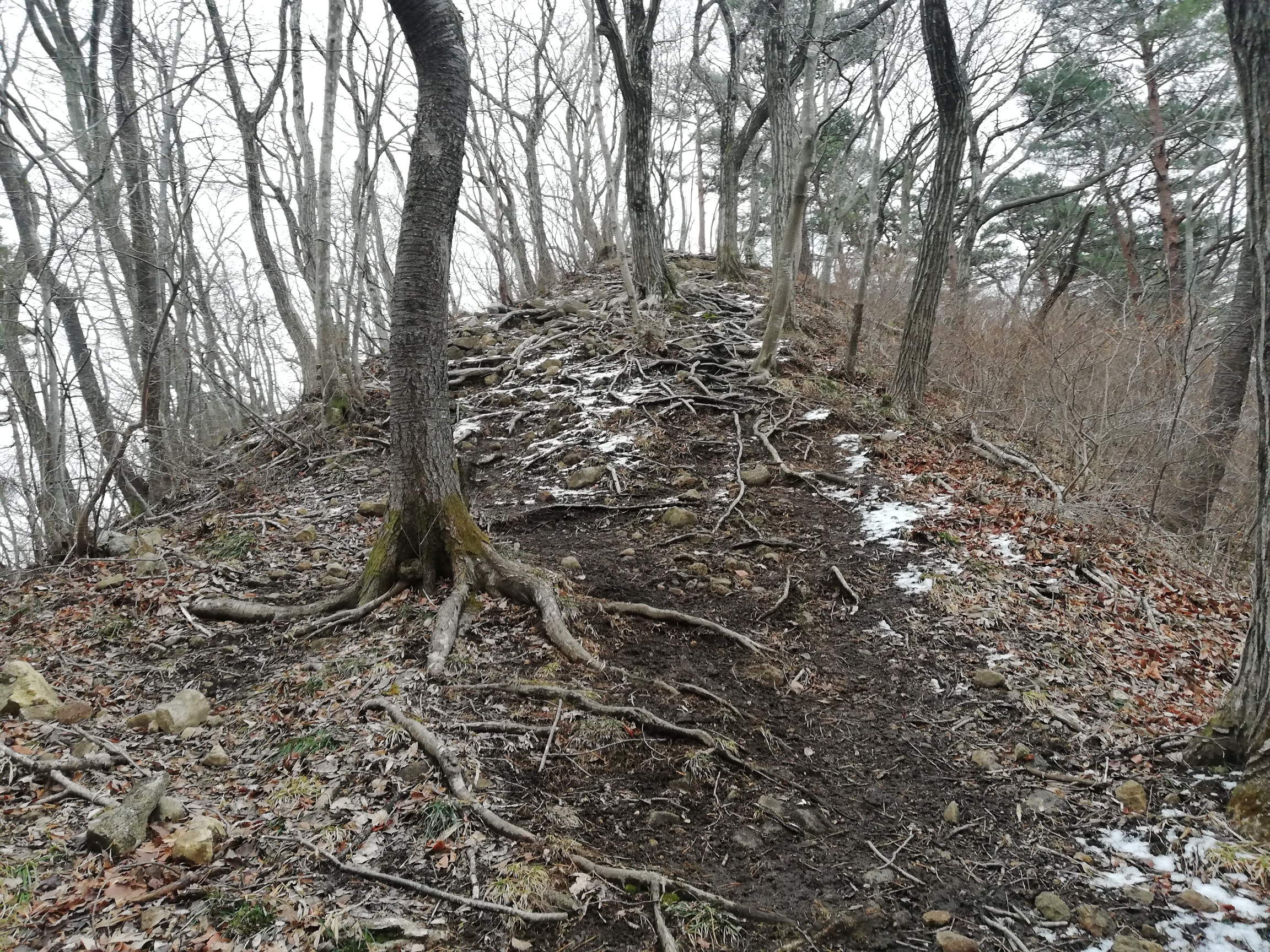 達居森 私にとってはガレ場ですw