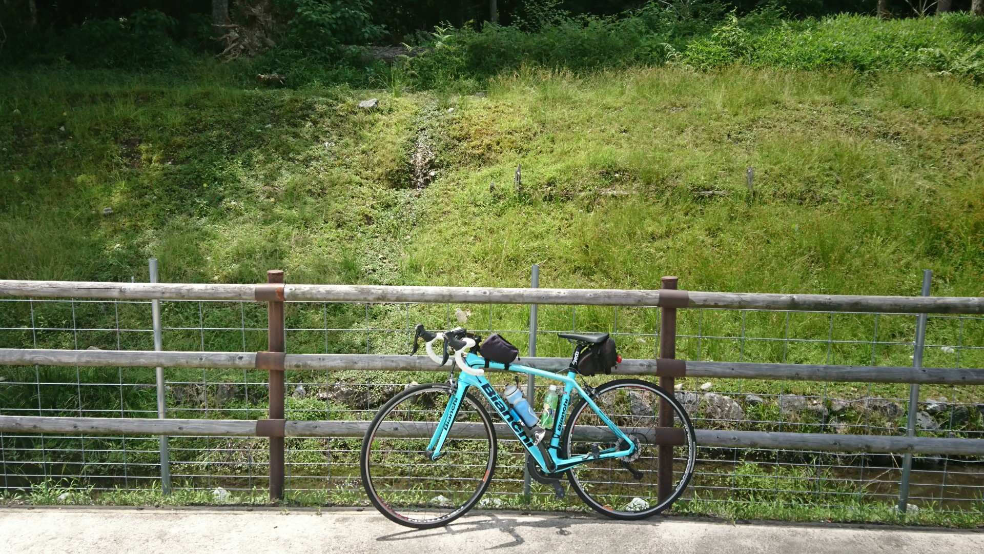 谷汲山(ロードバイク)-2020-06-20 / ほろさんの大谷山（岐阜県）・滝谷 