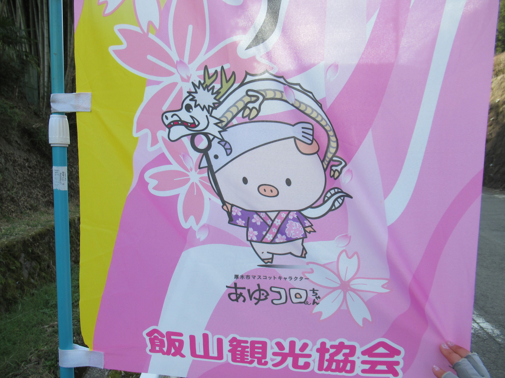 東丹沢 ネコノメ一族 ミツマタ群落に会いに にいにさんの大山の活動日記 Yamap ヤマップ