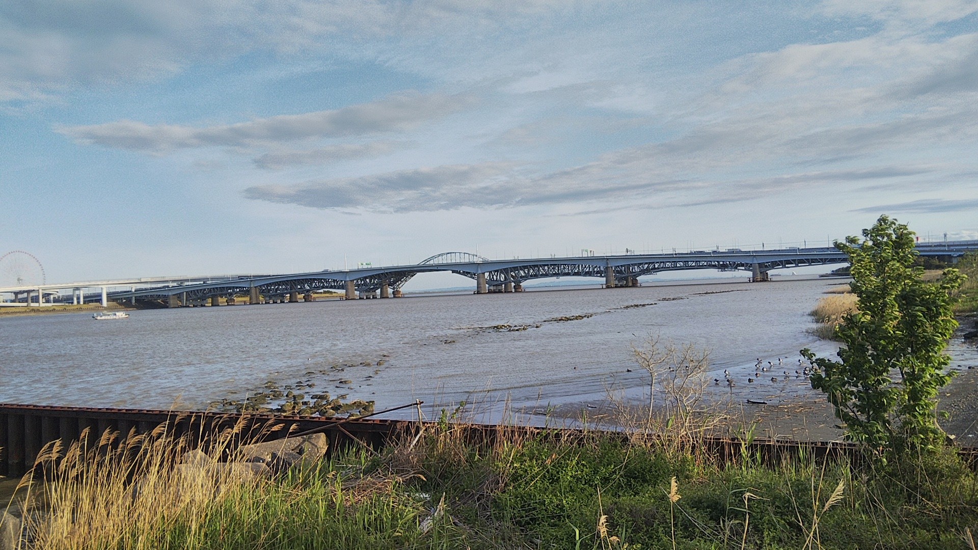 荒川の河口を目指して すろうにん さんの東京都23区 北エリアの活動日記 Yamap ヤマップ