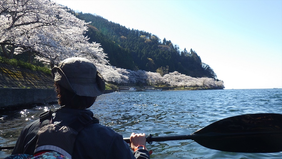 琵琶湖のお花見スポット 海津大崎 でまったりお花見カヤック たけじゅんさんの琵琶湖 北側の活動データ Yamap ヤマップ
